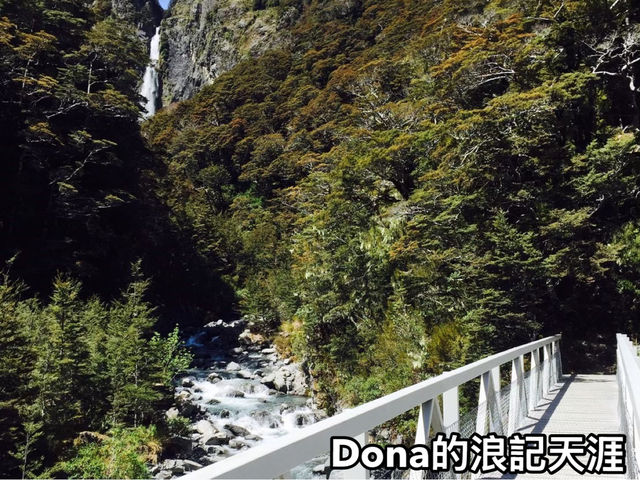 📍紐西蘭南島。亞瑟隘口｜越過龍脊，尋一口山風粽——亞瑟隘口的端午奇遇記 