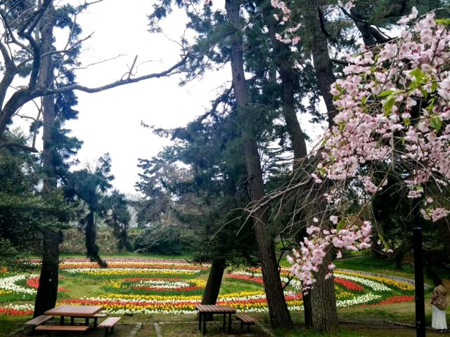 Terao Central Park, Your New Favorite Chill Spot