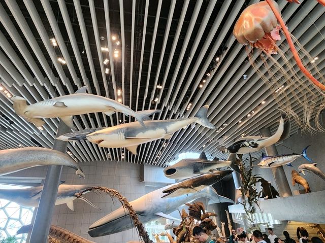 Shanghai natural history museum
