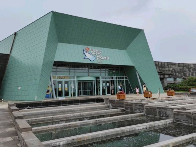 날씨 상관없이 만나는 제주 바다 – 아쿠아플라넷 제주