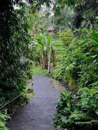 Ubud: Bali’s Soulful Heartbeat of Nature and Culture