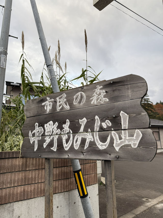 【青森】穴場！絶景スポット！