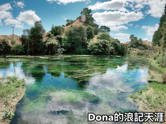 📍紐西蘭北島。Blue Spring ｜無敵清澈的泉水把煩惱沖淡