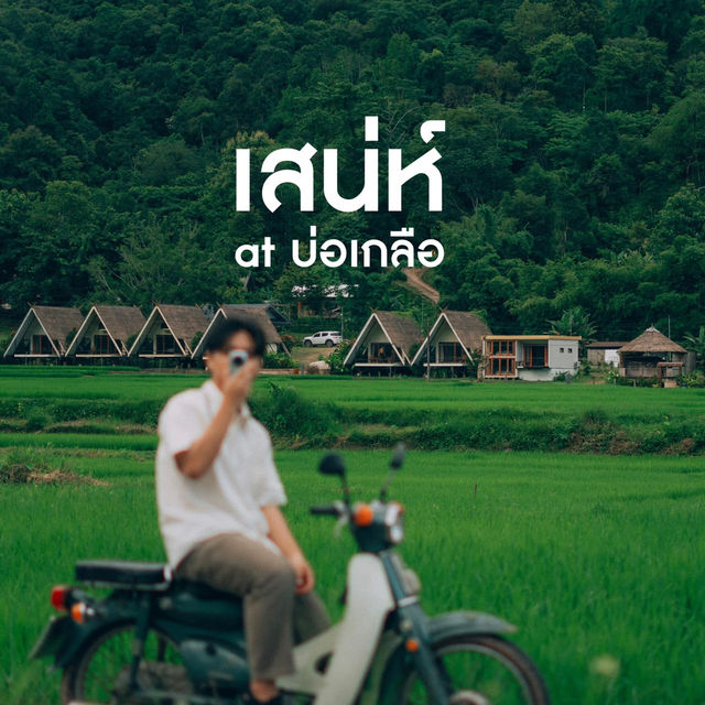 รีสอร์ทท่ามกลางทุ่งนาสีเขียว บรรยากาศดีสุดๆ 🍃🌾