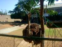 A visit to Baluarte, bastion in the north