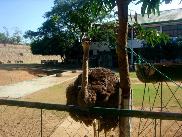 A visit to Baluarte, bastion in the north
