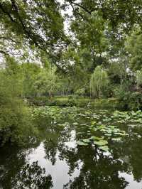 Strolling Through Suzhou: A Slow Day Well Spent
