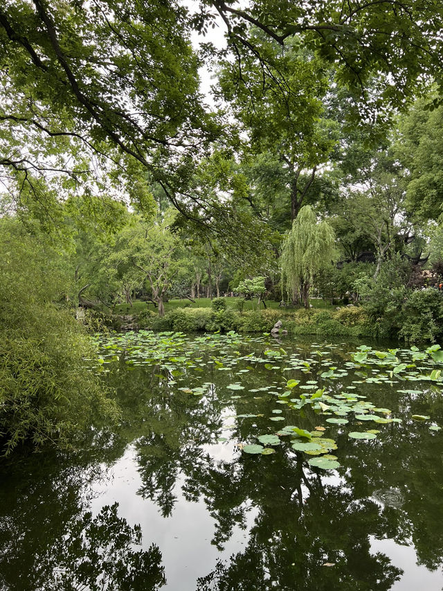 Strolling Through Suzhou: A Slow Day Well Spent