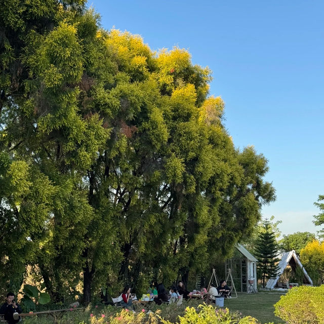 西哩自然農場 — 親子樂園