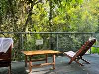 Nature’s Embrace: A Weekend Escape to Forest Serenity