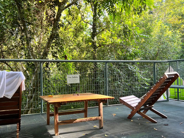 Nature’s Embrace: A Weekend Escape to Forest Serenity