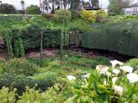 Cave Garden: A Lush Sanctuary in Mount Gambier