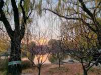 Yuanmingyuan: Finding Peace in Grandeur's Echoes