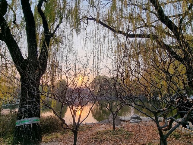 Yuanmingyuan: Finding Peace in Grandeur's Echoes