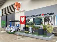 Elephant Parade ❤️ Mosha