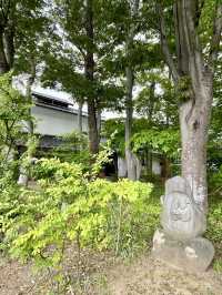 A Day of Art & History in Matsumoto, Nagano 🖼️🏞️