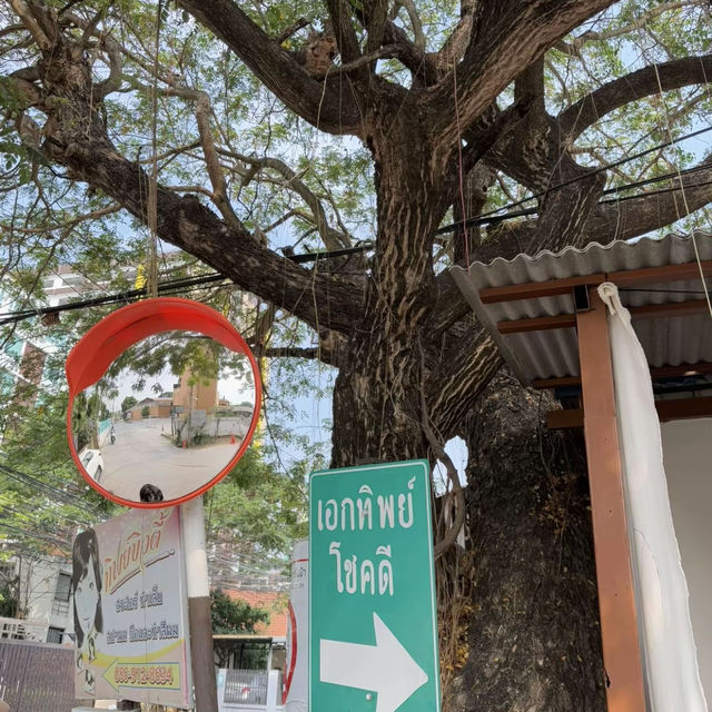🍳☕ โกเผือกโกดำ – ร้านอาหารเช้าเชียงใหม่ที่ต้องมา!