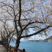 Blossom Overload