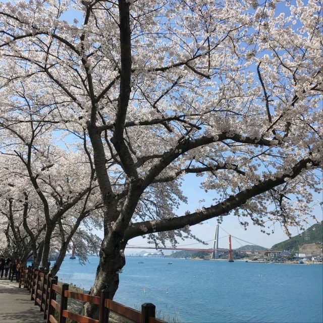 Blossom Overload