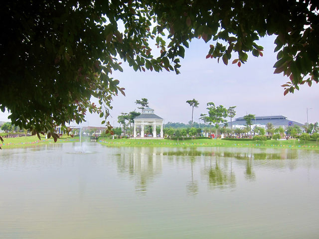Morning Calm & Duck Encounters at Eco Majestic City Park