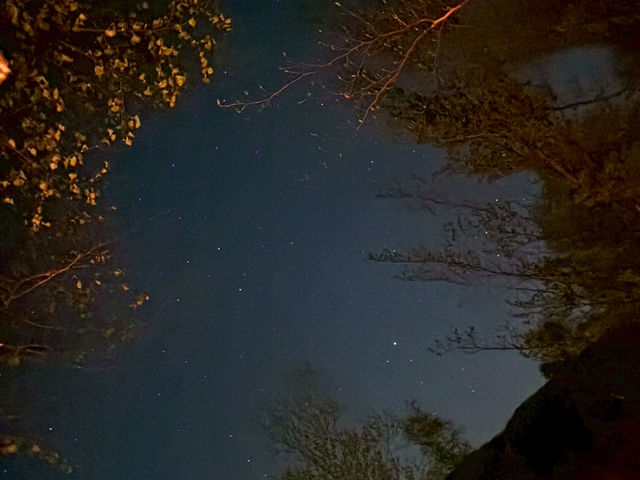 【自然と星空に癒される、せいなの森キャンプ場でのんびりステイ🌲🌌】