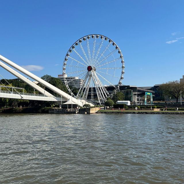 🚶‍♀️ One-Day Walk Around Brisbane City