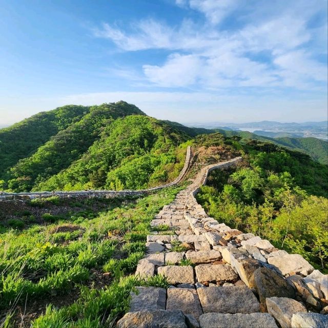 History, Views, and Forest Feels All in One