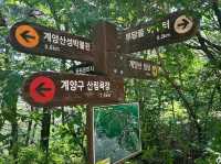Exploring Gyeyangsanseong Fortress