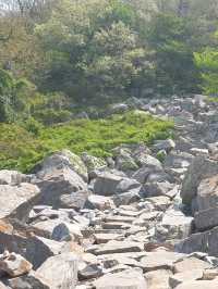 Easy Wandering on Dalma Mountain’s Ancient Road