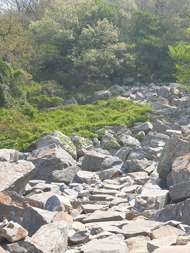 Easy Wandering on Dalma Mountain’s Ancient Road