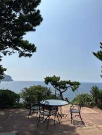 🌴 야자수와 소나무 사이, 바다를 품은 허니문하우스 카페