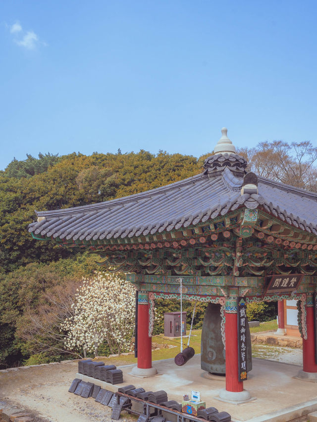 천상의 기운 달마산 품에 안긴 고즈넉한 사찰“미황사”
