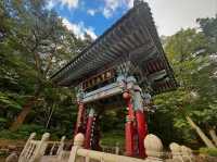 Temples, Trails, and Tired Legs