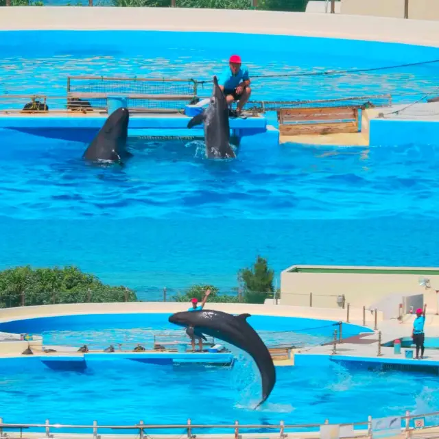 โอกินาว่า