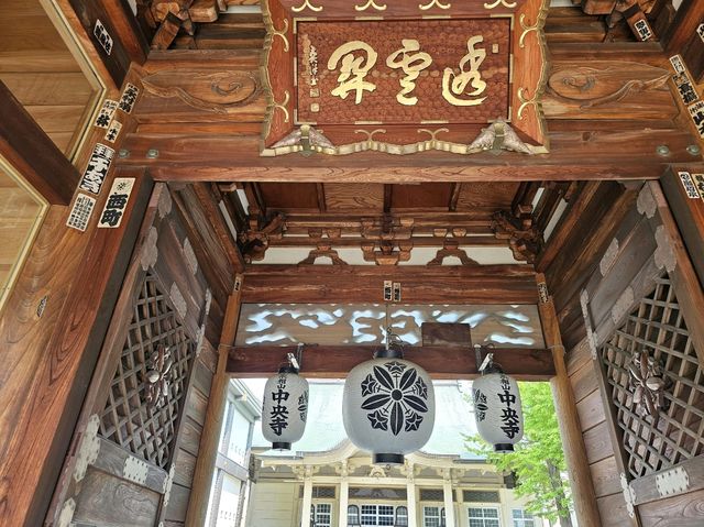 「北海道~札幌」市內剪映！在風和日麗的六月。