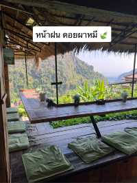 ไปจิ๊บกาแฟนั่งดูป่าเขียวชะอุ่ม ดอยผาหมีหน้าฝนกัน ☘️