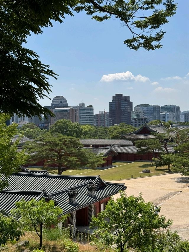 시간의 겹, 창경궁에서 바라본 서울