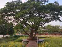 The Cavali Casa Ayutthaya