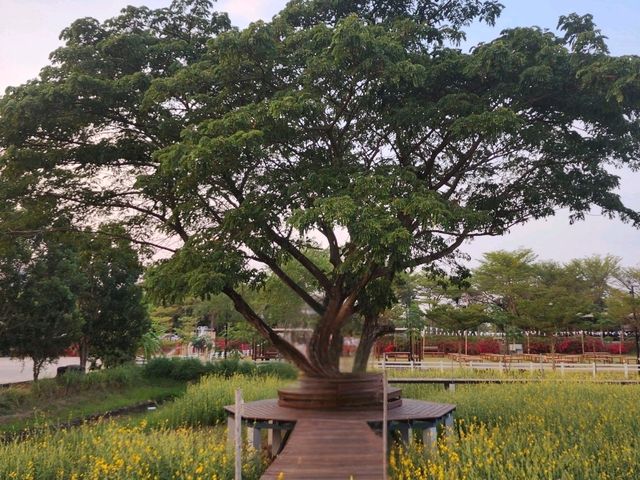 The Cavali Casa Ayutthaya