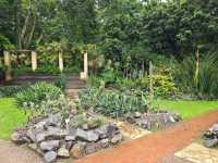 해외여행 브라질에서 가장 큰 식물원 Botanical Garden of Rio de Janeiro
