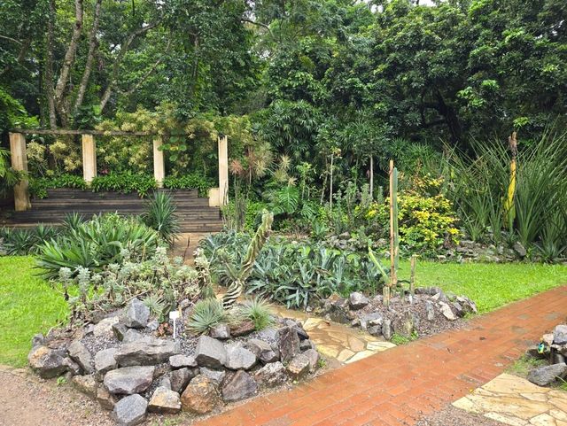 해외여행 브라질에서 가장 큰 식물원 Botanical Garden of Rio de Janeiro