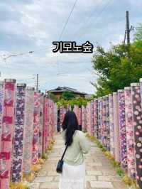 아라시야마 기모노 숲, 인생샷 명소!🎎