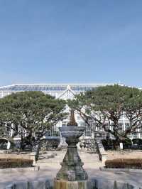 Changdeokgung Palace & Secret Garden – A Serene Royal Retreat in Seoul