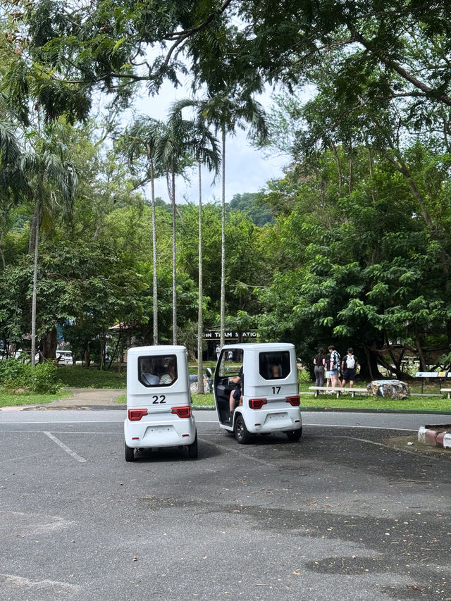 🌿🔥 走入野生奇蹟！綠山動物園大冒險！🌴🐘 🔥🌿