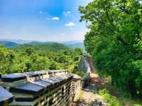 History, Forest, and Chill Vibes