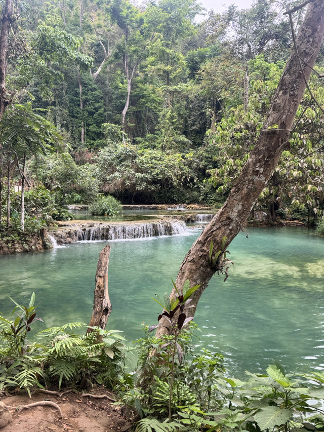 想像をはるかに超えたラオス旅行