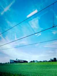 Swiss Summer by Train: From Zurich to Geneva 🚄🇨🇭☀️