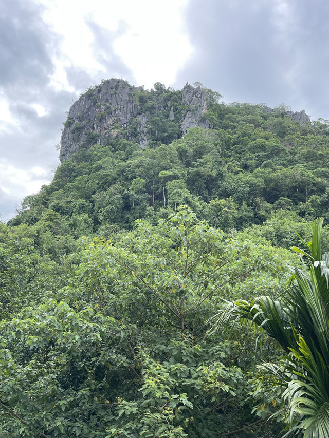 Khao Yai Adventure: 🐘 🍉🍕