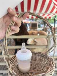 ชมโชว์สัตว์ที่ the scenery vintage farm ราชบุรี
