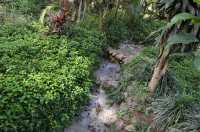 Anna Park Yercaud